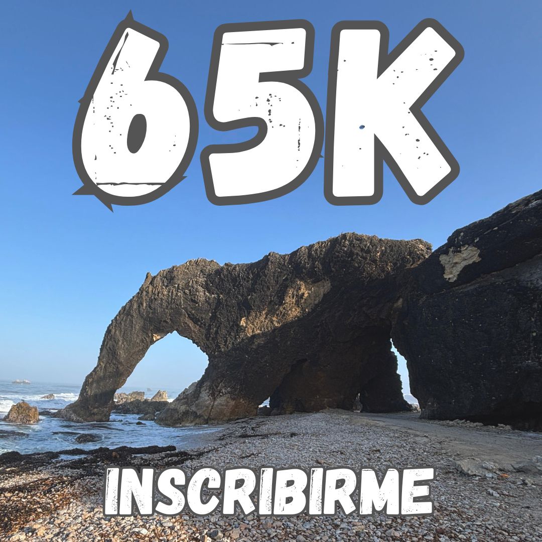 MWT 65 Km
