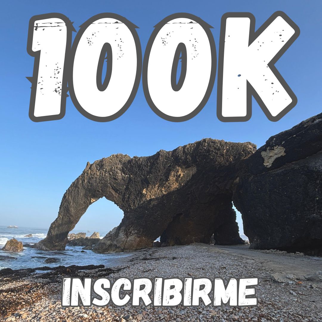 MWT 100 Km